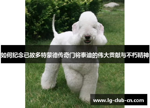 如何纪念已故多特蒙德传奇门将泰迪的伟大贡献与不朽精神