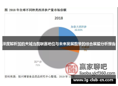深度解析加的夫城当前联赛地位与未来发展前景的综合展望分析报告 深度解析加的夫城当前联赛地位与未来发展前景的综合展望分析报告